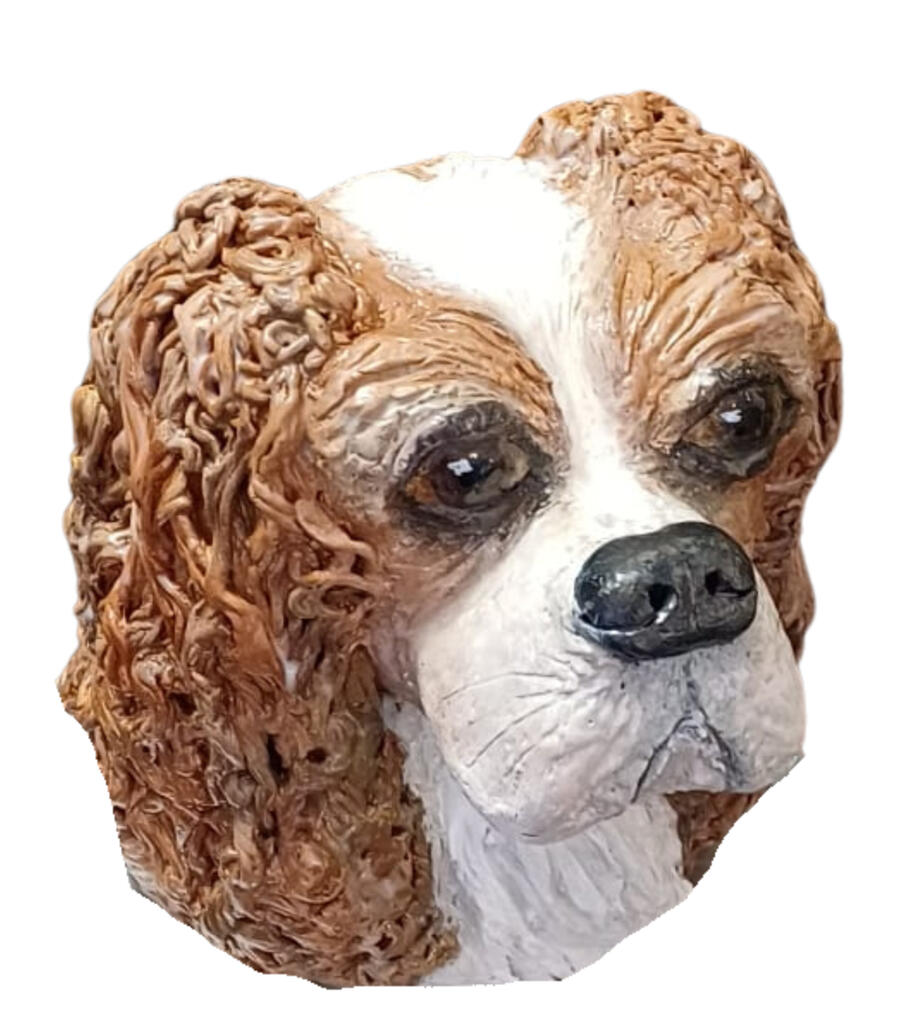 Bailey Bailey