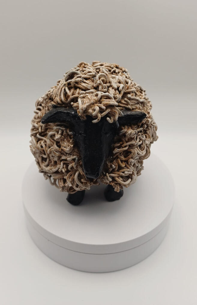 Shy Sheep Shy Sheep